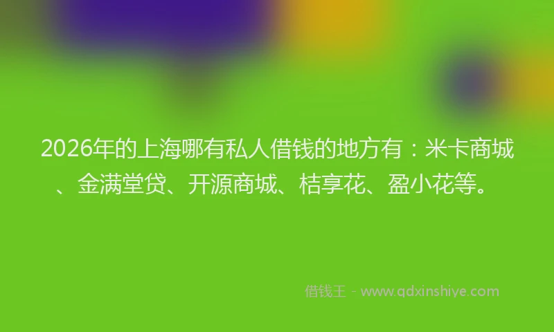 2026年的上海哪有私人借钱的地方有:米卡商城、金满堂贷、开源商城、桔享花、盈小花等。