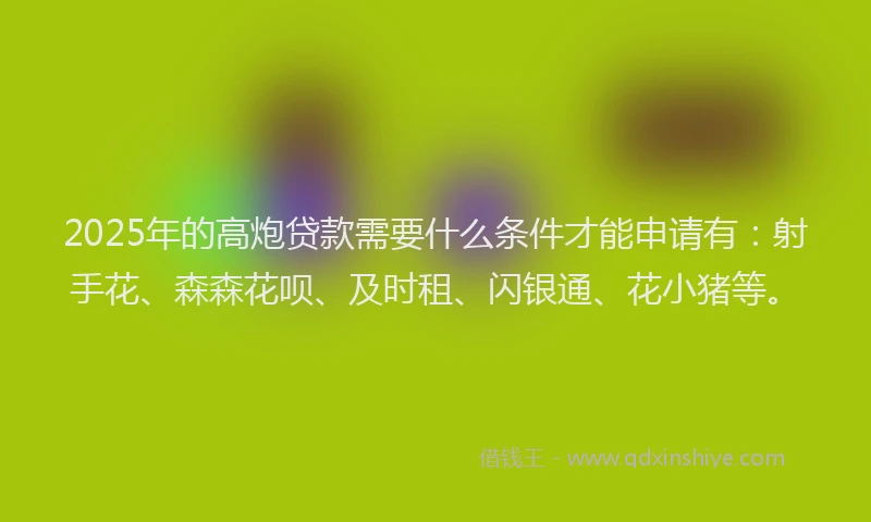 2025年的高炮贷款需要什么条件才能申请有:射手花、森森花呗、及时租、闪银通、花小猪等。