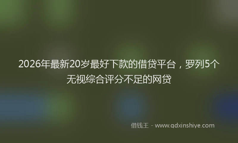 2026年最新20岁最好下款的借贷平台,罗列5个无视综合评分不足的网贷