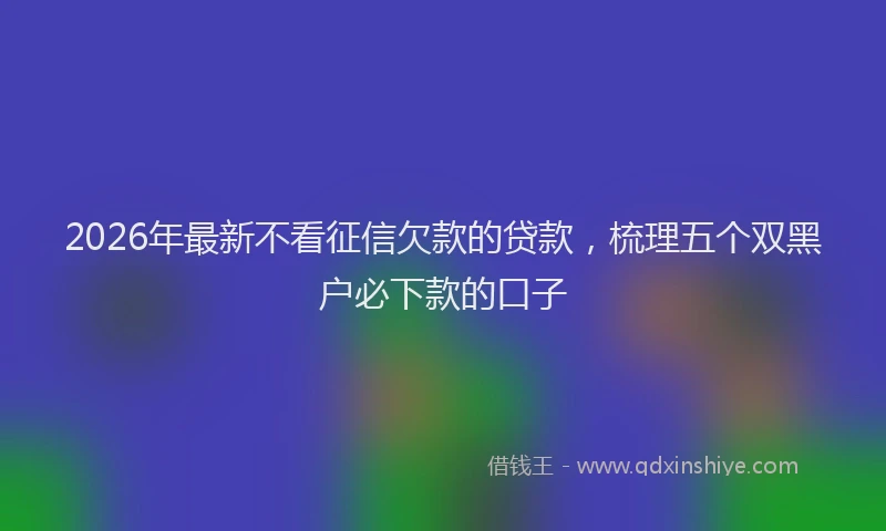 2026年最新不看征信欠款的贷款，梳理五个双黑户必下款的口子