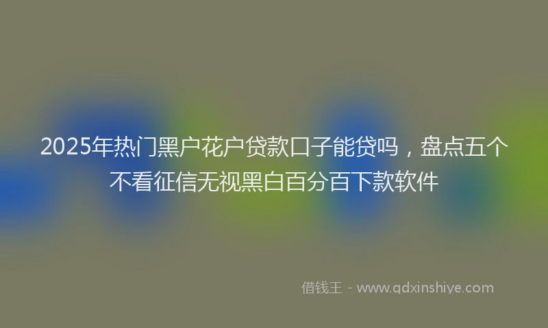 2025年热门黑户花户贷款口子能贷吗，盘点五个不看征信无视黑白百分百下款软件