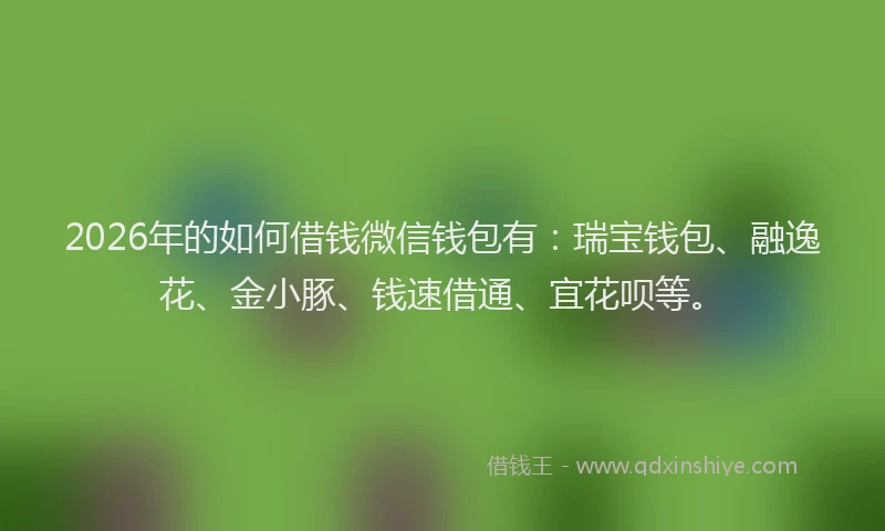 2026年的如何借钱微信钱包有:瑞宝钱包、融逸花、金小豚、钱速借通、宜花呗等。