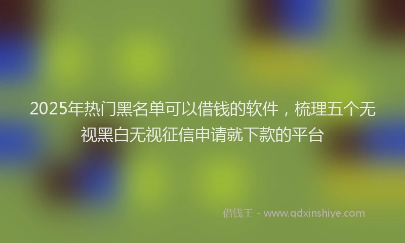 2025年热门黑名单可以借钱的软件,梳理五个无视黑白无视征信申请就下款的平台