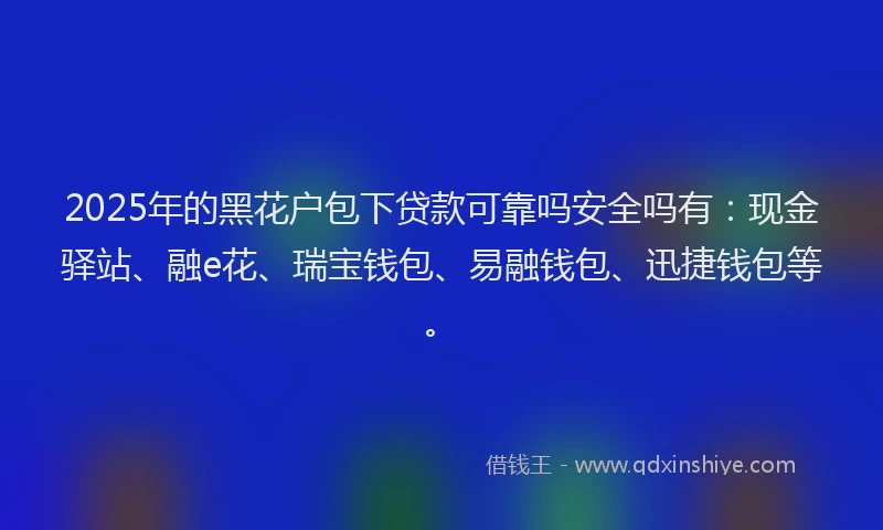 2025年的黑花户包下贷款可靠吗安全吗有：现金驿站、融e花、瑞宝钱包、易融钱包、迅捷钱包等。
