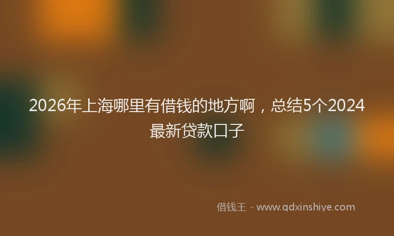 2026年上海哪里有借钱的地方啊，总结5个2024最新贷款口子