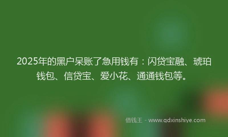 2025年的黑户呆账了急用钱有:闪贷宝融、琥珀钱包、信贷宝、爱小花、通通钱包等。