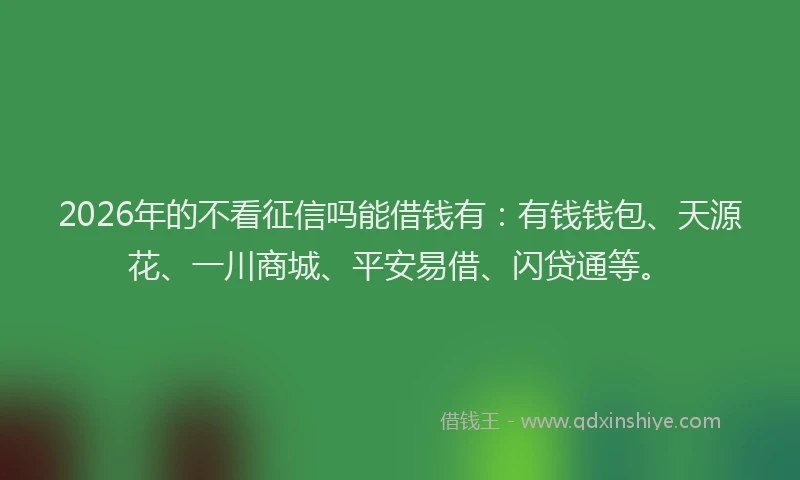 2026年的不看征信吗能借钱有：有钱钱包、天源花、一川商城、平安易借、闪贷通等。