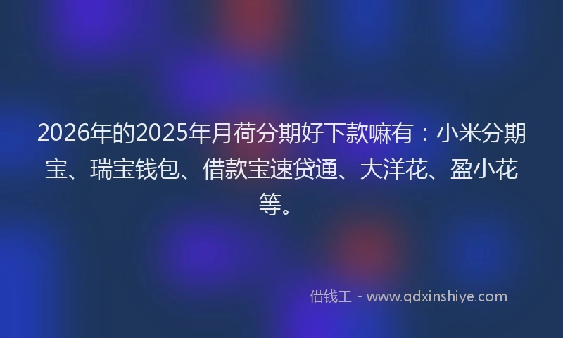 2026年的2025年月荷分期好下款嘛有:小米分期宝、瑞宝钱包、借款宝速贷通、大洋花、盈小花等。