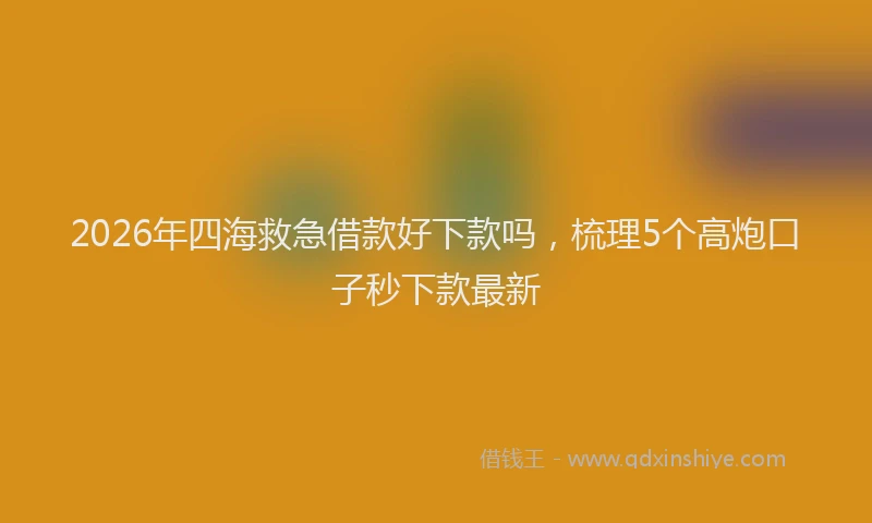 2026年四海救急借款好下款吗,梳理5个高炮口子秒下款最新