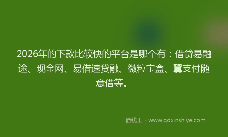 2026年的下款比较快的平台是哪个有:借贷易融途、现金网、易借速贷融、微粒宝盒、翼支付随意借等。