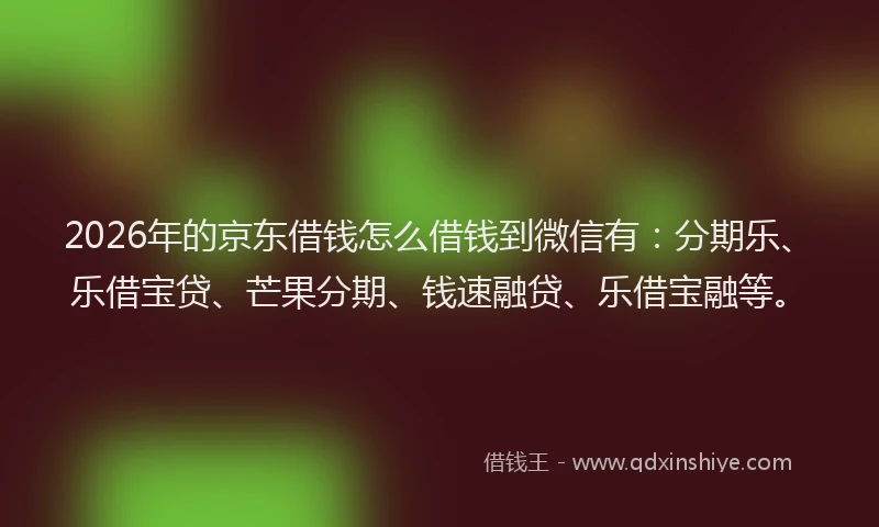 2026年的京东借钱怎么借钱到微信有：分期乐、乐借宝贷、芒果分期、钱速融贷、乐借宝融等。