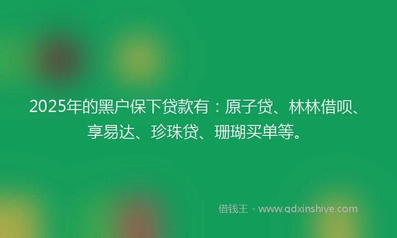 2025年的黑户保下贷款有:原子贷、林林借呗、享易达、珍珠贷、珊瑚买单等。