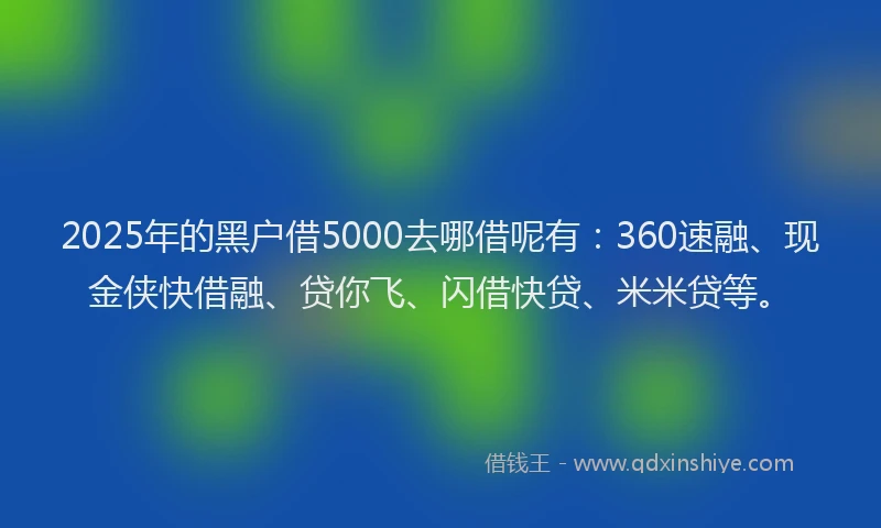 2025年的黑户借5000去哪借呢有：360速融、现金侠快借融、贷你飞、闪借快贷、米米贷等。