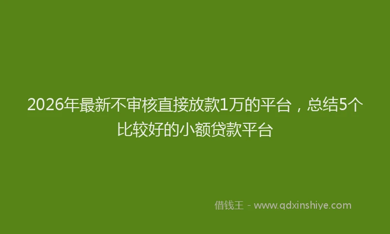 2026年最新不审核直接放款1万的平台，总结5个比较好的小额贷款平台