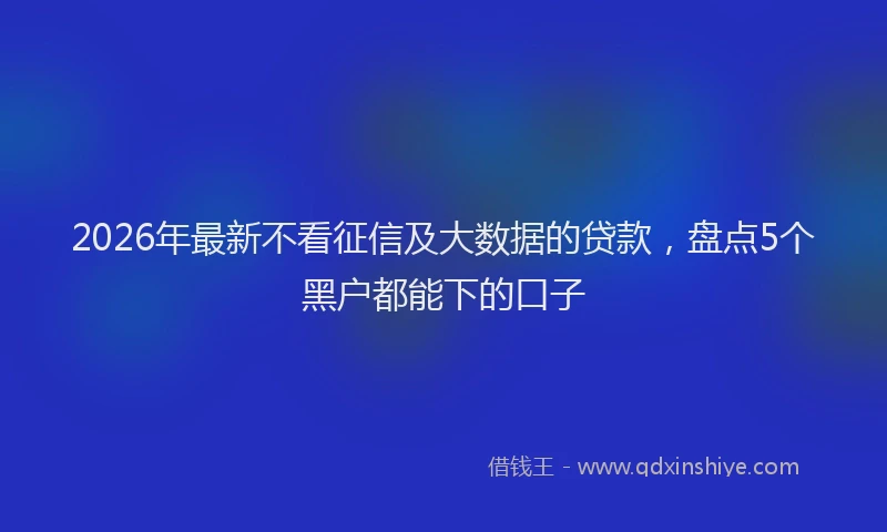 2026年最新不看征信及大数据的贷款,盘点5个黑户都能下的口子