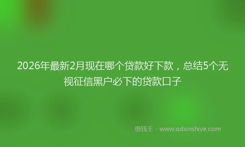 2026年最新2月现在哪个贷款好下款，总结5个无视征信黑户必下的贷款口子