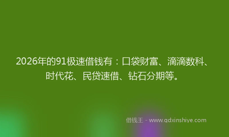 2026年的91极速借钱有：口袋财富、滴滴数科、时代花、民贷速借、钻石分期等。