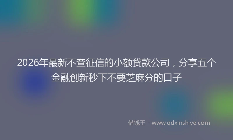 2026年最新不查征信的小额贷款公司,分享五个金融创新秒下不要芝麻分的口子