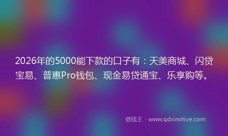2026年的5000能下款的口子有：天美商城、闪贷宝易、普惠Pro钱包、现金易贷通宝、乐享购等。