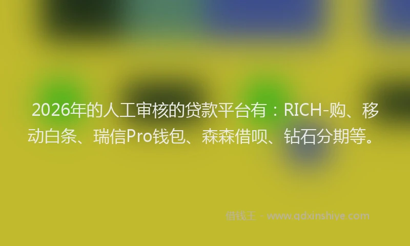 2026年的人工审核的贷款平台有：RICH-购、移动白条、瑞信Pro钱包、森森借呗、钻石分期等。