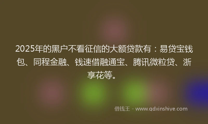 2025年的黑户不看征信的大额贷款有：易贷宝钱包、同程金融、钱速借融通宝、腾讯微粒贷、浙享花等。