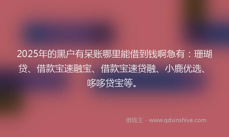 2025年的黑户有呆账哪里能借到钱啊急有:珊瑚贷、借款宝速融宝、借款宝速贷融、小鹿优选、哆哆贷宝等。