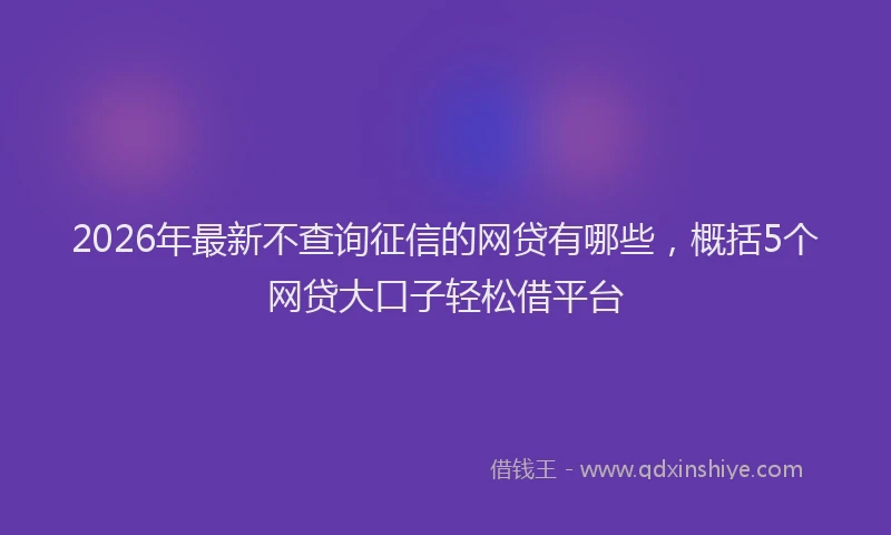 2026年最新不查询征信的网贷有哪些，概括5个网贷大口子轻松借平台