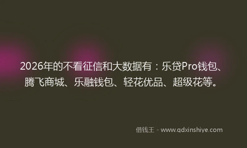 2026年的不看征信和大数据有：乐贷Pro钱包、腾飞商城、乐融钱包、轻花优品、超级花等。