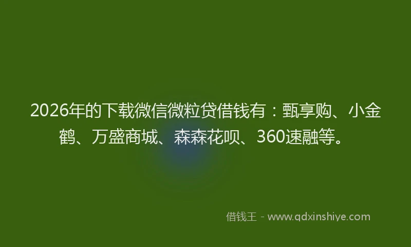 2026年的下载微信微粒贷借钱有：甄享购、小金鹤、万盛商城、森森花呗、360速融等。