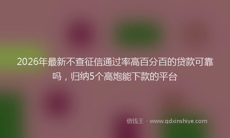 2026年最新不查征信通过率高百分百的贷款可靠吗，归纳5个高炮能下款的平台