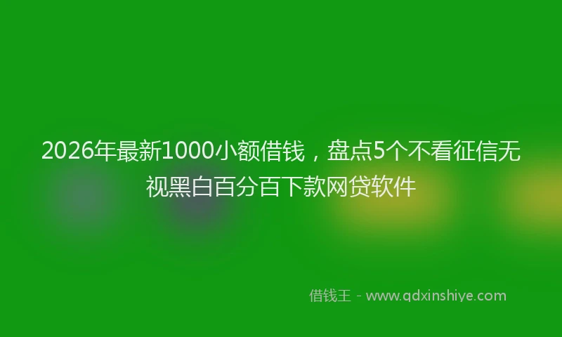 2026年最新1000小额借钱，盘点5个不看征信无视黑白百分百下款网贷软件