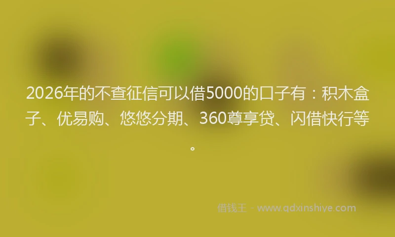 2026年的不查征信可以借5000的口子有：积木盒子、优易购、悠悠分期、360尊享贷、闪借快行等。
