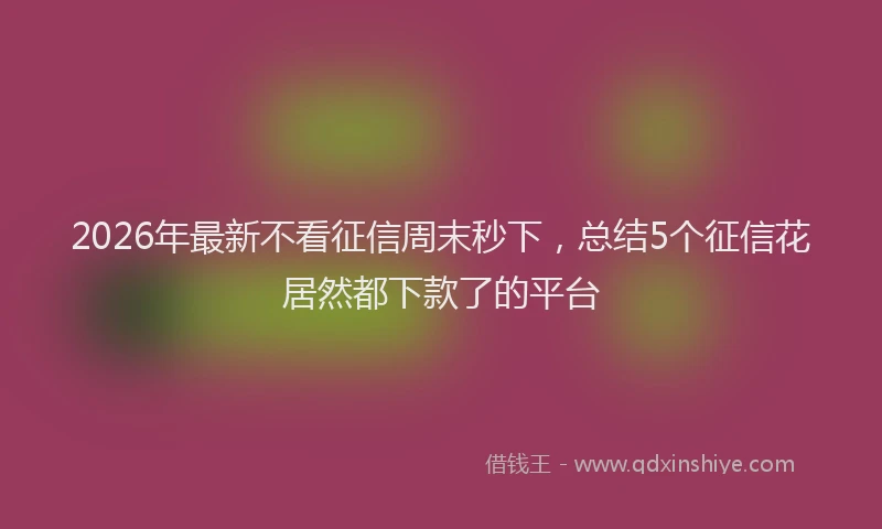 2026年最新不看征信周末秒下,总结5个征信花居然都下款了的平台