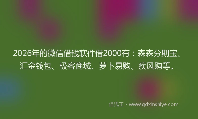 2026年的微信借钱软件借2000有:森森分期宝、汇金钱包、极客商城、萝卜易购、疾风购等。