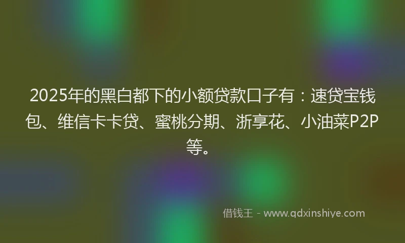 2025年的黑白都下的小额贷款口子有：速贷宝钱包、维信卡卡贷、蜜桃分期、浙享花、小油菜P2P等。