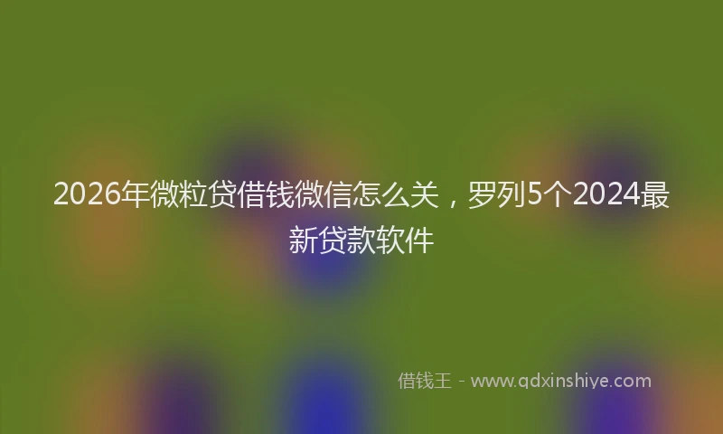2026年微粒贷借钱微信怎么关，罗列5个2024最新贷款软件