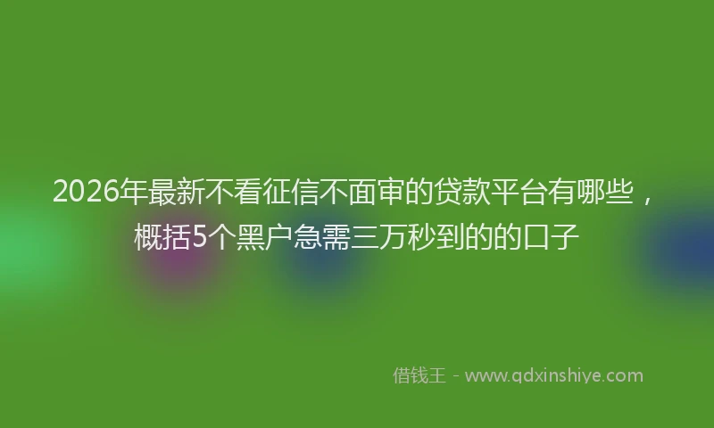 2026年最新不看征信不面审的贷款平台有哪些，概括5个黑户急需三万秒到的的口子