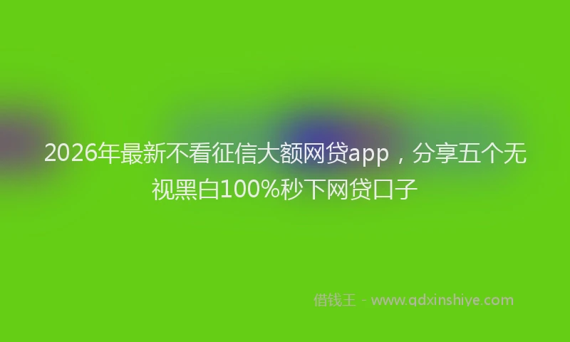 2026年最新不看征信大额网贷app，分享五个无视黑白100%秒下网贷口子