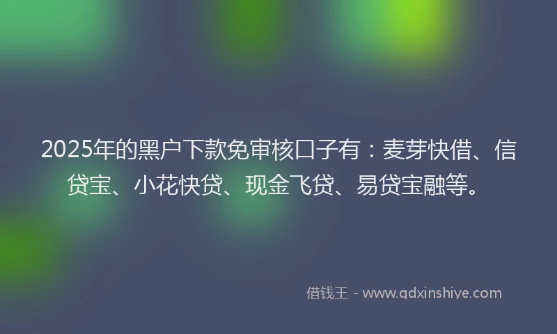 2025年的黑户下款免审核口子有：麦芽快借、信贷宝、小花快贷、现金飞贷、易贷宝融等。