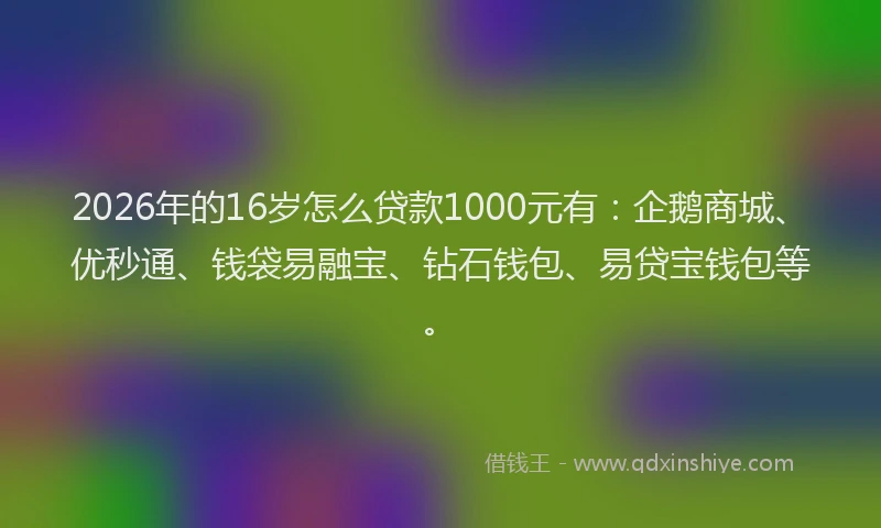 2026年的16岁怎么贷款1000元有:企鹅商城、优秒通、钱袋易融宝、钻石钱包、易贷宝钱包等。