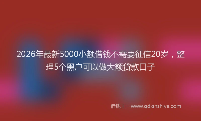 2026年最新5000小额借钱不需要征信20岁，整理5个黑户可以做大额贷款口子