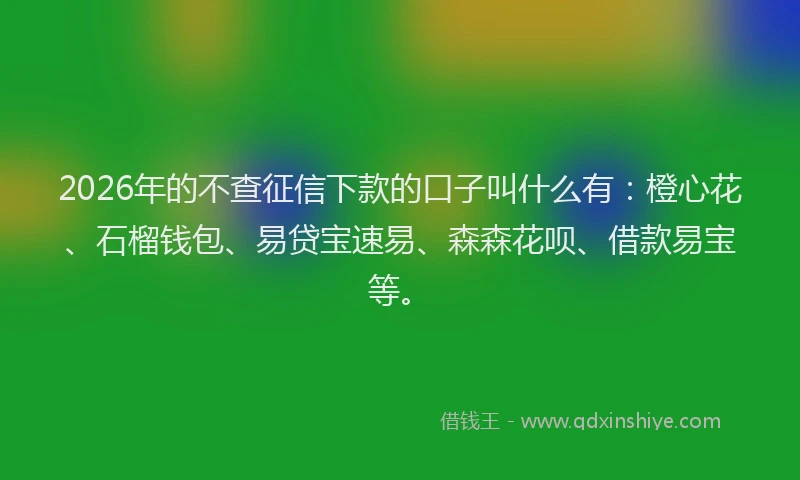 2026年的不查征信下款的口子叫什么有：橙心花、石榴钱包、易贷宝速易、森森花呗、借款易宝等。