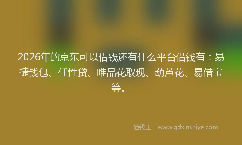 2026年的京东可以借钱还有什么平台借钱有：易捷钱包、任性贷、唯品花取现、葫芦花、易借宝等。
