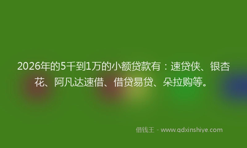 2026年的5千到1万的小额贷款有:速贷侠、银杏花、阿凡达速借、借贷易贷、朵拉购等。