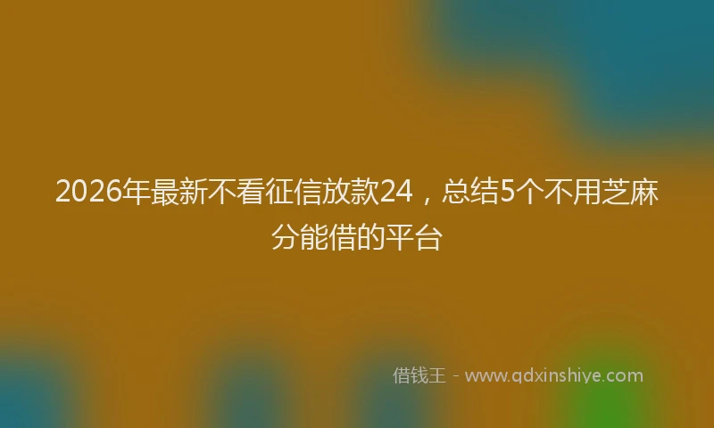 2026年最新不看征信放款24,总结5个不用芝麻分能借的平台