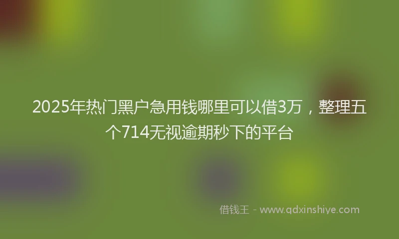 2025年热门黑户急用钱哪里可以借3万,整理五个714无视逾期秒下的平台
