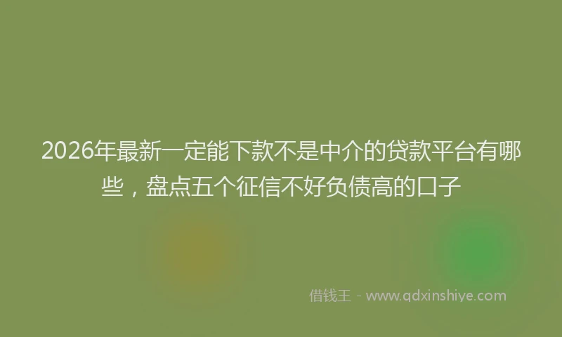 2026年最新一定能下款不是中介的贷款平台有哪些,盘点五个征信不好负债高的口子