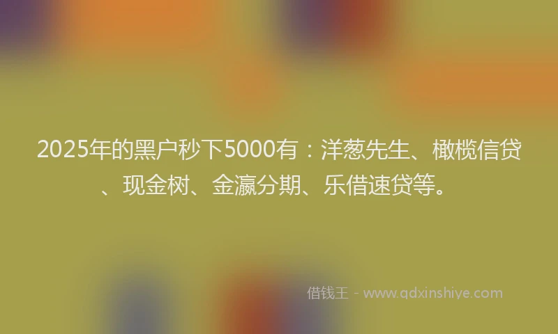 2025年的黑户秒下5000有：洋葱先生、橄榄信贷、现金树、金瀛分期、乐借速贷等。