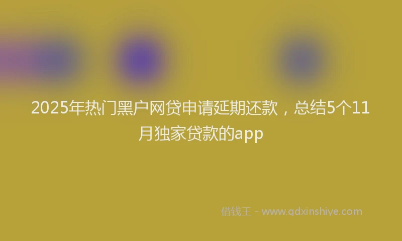 2025年热门黑户网贷申请延期还款，总结5个11月独家贷款的app