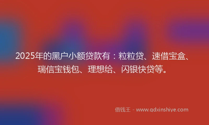 2025年的黑户小额贷款有：粒粒贷、速借宝盒、瑞信宝钱包、理想给、闪银快贷等。